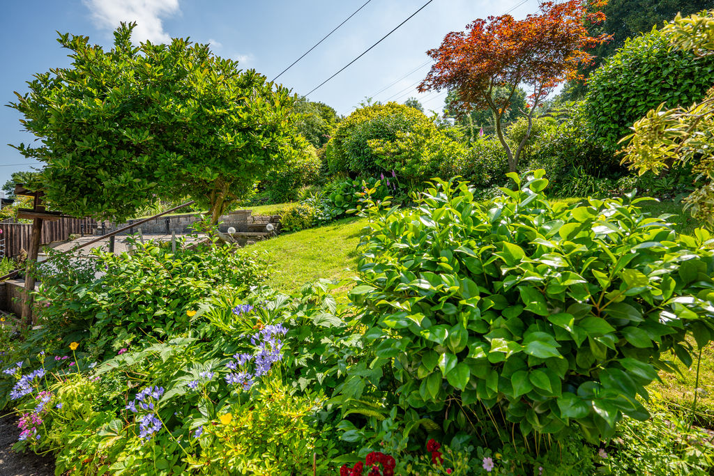 Garden- click for photo gallery
